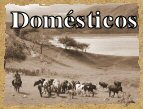 Domesticos